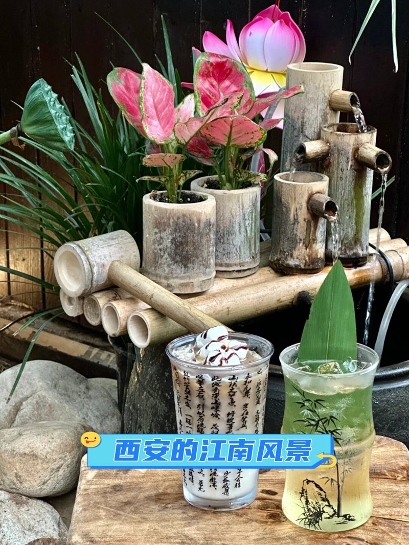 唐茶会餐饮：传统与时尚的碰撞